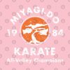 Miyagi Do Karate T-Shirt Official Karate Merch